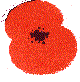 Poppy