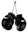 Box Gloves